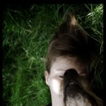 herbe