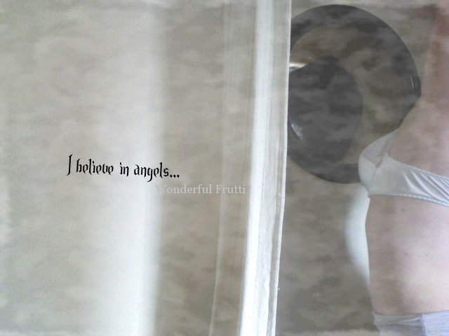 Photographie n°14