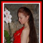 Boa et Orchidees
